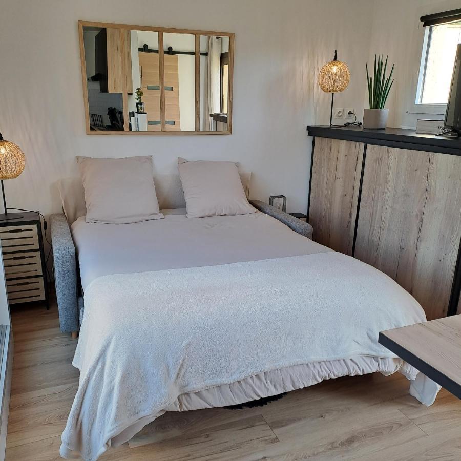 Studio Climatise Cosy Avec Grande Piscine Chauffee Agde Extérieur photo